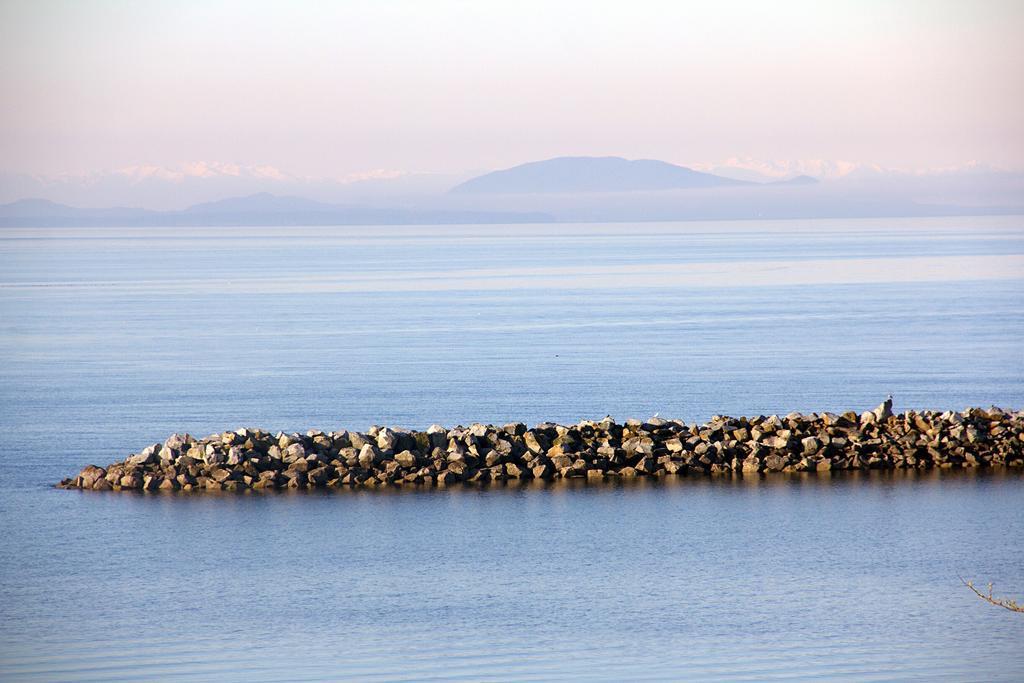 Star Of The Sea Guest House White Rock Kültér fotó